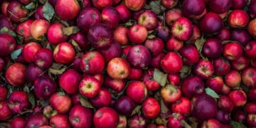 5 Delicious and Nutritious Healthy Recipes for Weight Loss – Simple and Quick Meals