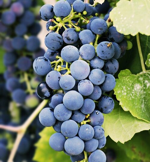 10 Expert Tips for Achieving Lasting Weight Loss with a Balanced Diet